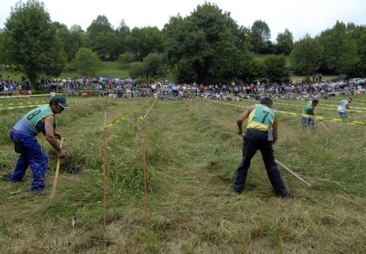 Participantes en un concurso de siega organizado en el concejo de Caso.