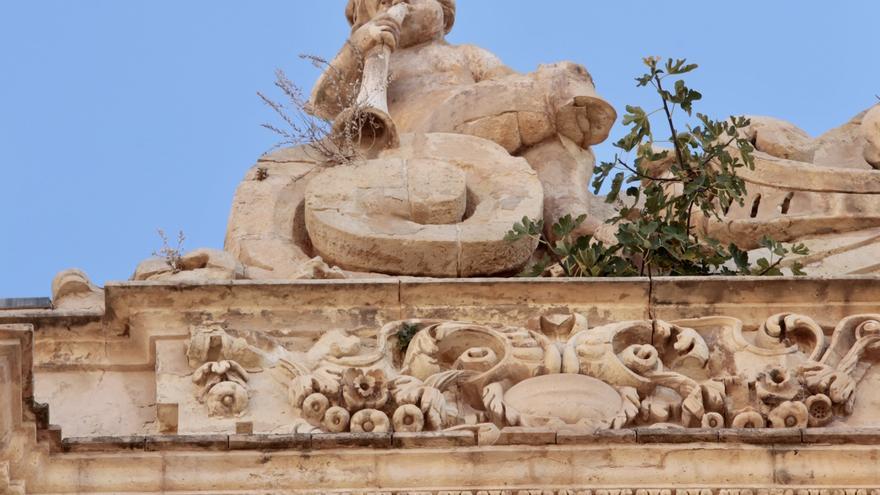 Arbustos y un árbol ‘toman’ la fachada de San Patricio de Lorca