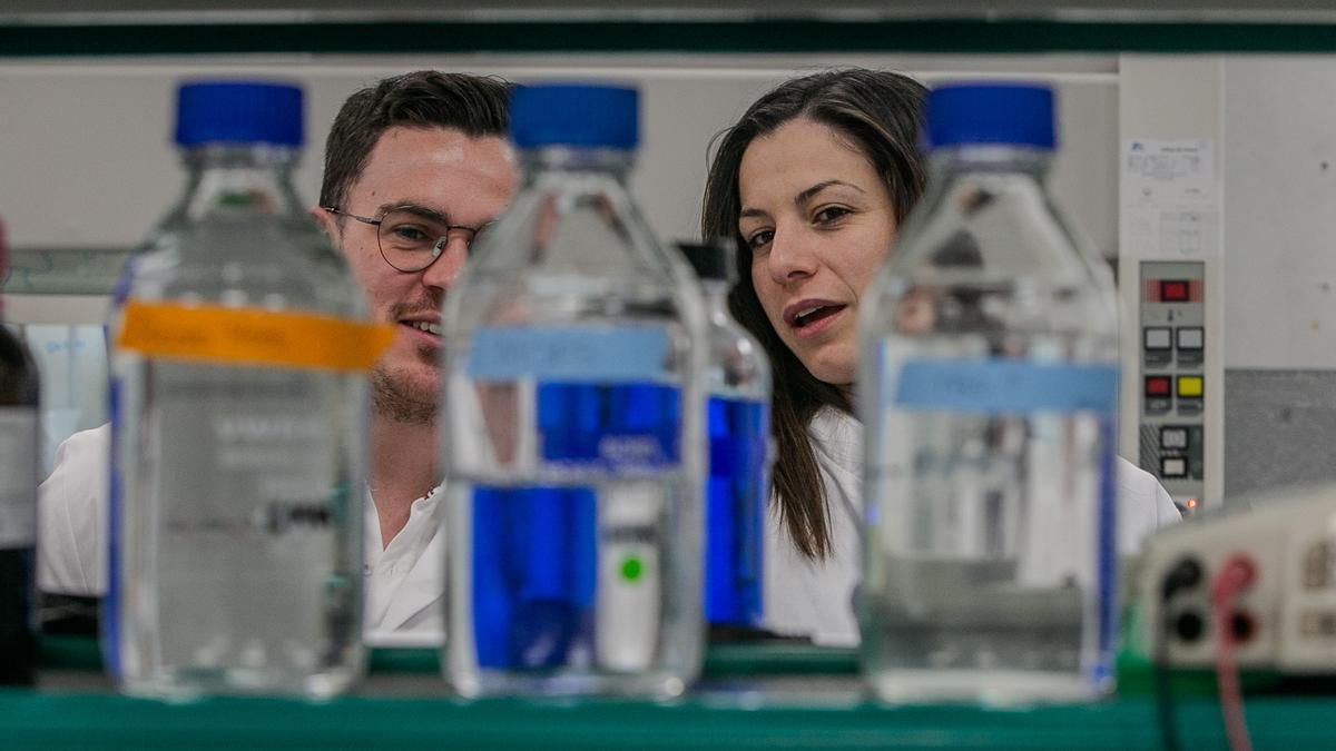 Barcelona 13 03 2024. Sociedad&quot; Barcelona pone en marcha un proyecto pionero para unir a médicos y científicos en un mismo laboratorio para avanzar en el estudio de enfermedades prevalentes&quot; En La foto las científica Laura Angelats (rubia pelo rizado) Y Cristina Mayor Ruiz (morena pelo liso) Con sus equipos en los laboratorios de IRB. Foto Maite Cruz