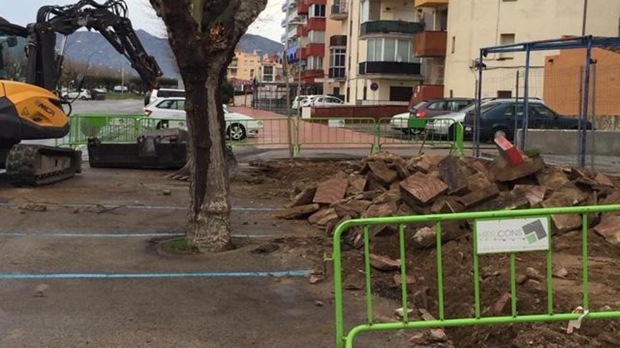 Tallen arbres per evitar problemes de visibilitat i acumulació de fulles