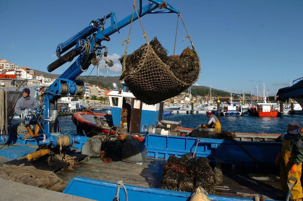 Las bateas de la ría de Pontevedra cumplen tres meses cerradas