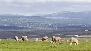 Extremadura: ¿potencia o colonia fotovoltaica?