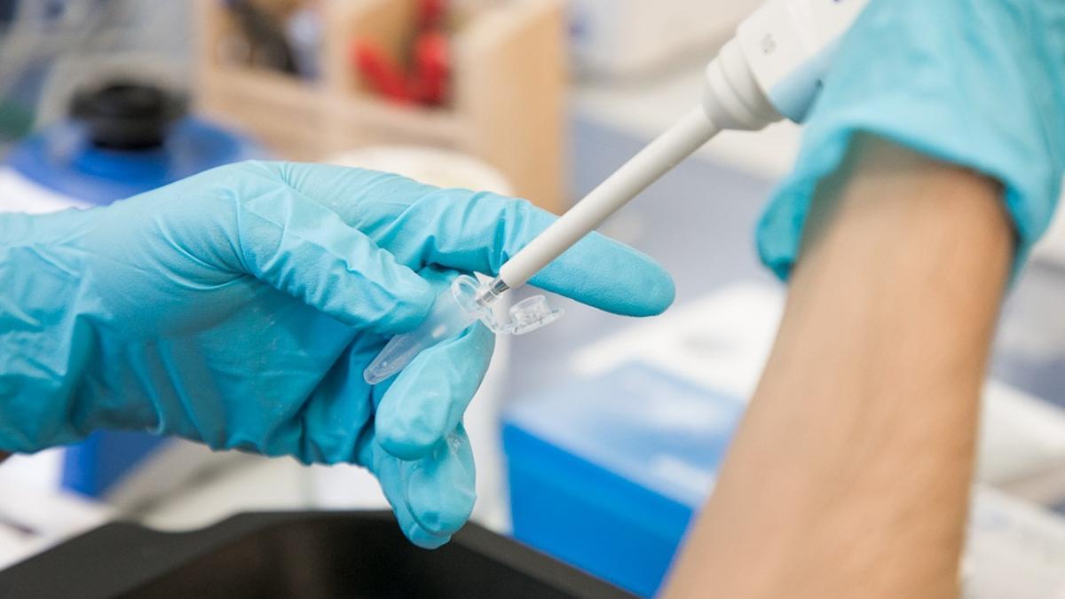 Análisis de una prueba PCR en un laboratorio de una universidad canaria.