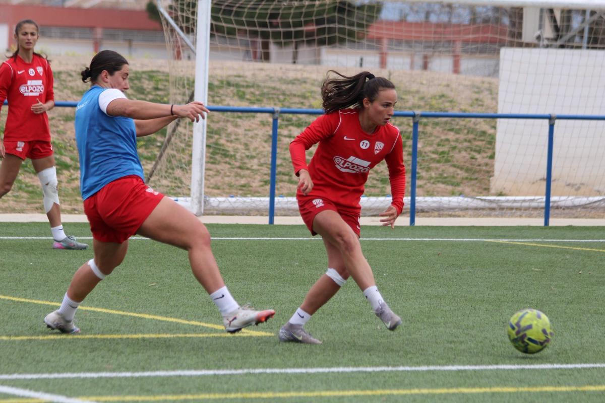 Entrenamiento
