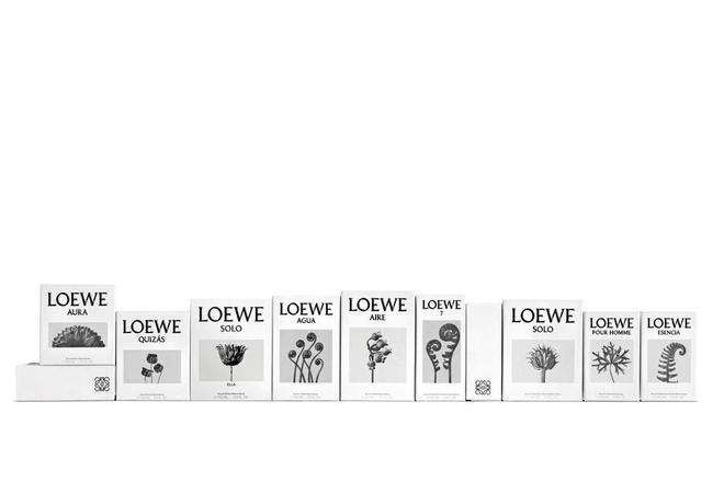 Todas las fragancias de Loewe con su nuevo 'packaging'