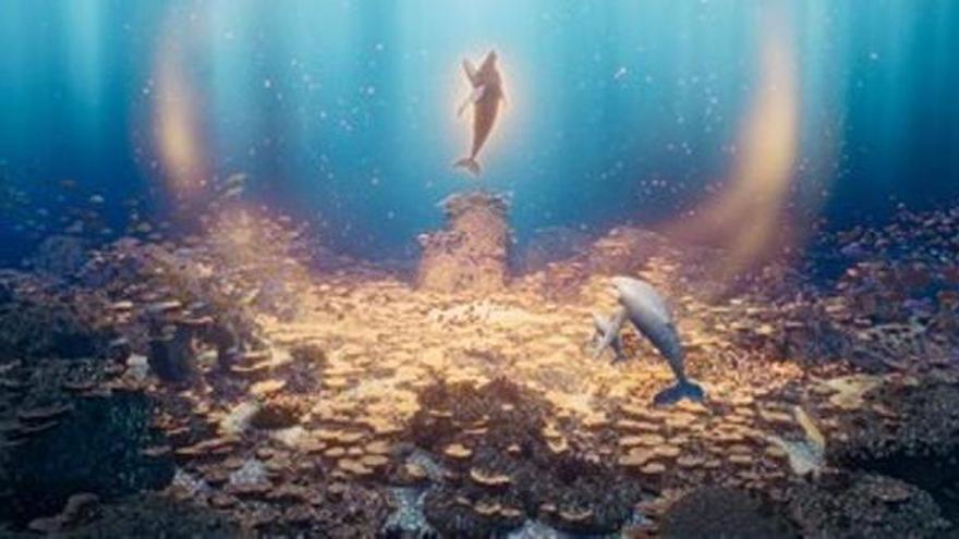 La leyenda de la ballena cantora