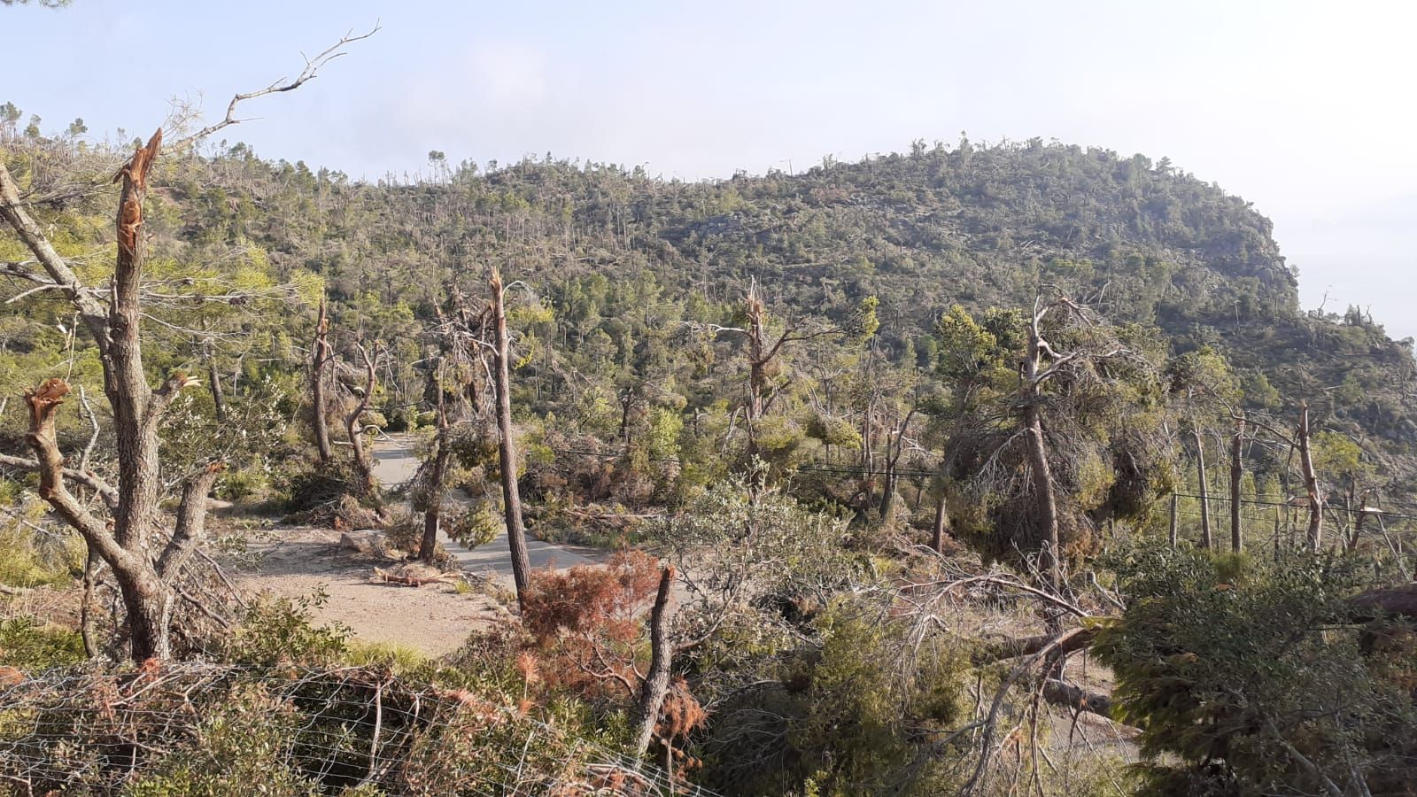 Francina Armengol visita la ‘zona cero’ de la catástrofe ambiental en Banyalbufar