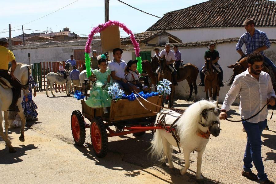 Feria del caballo en Fuentesaúco