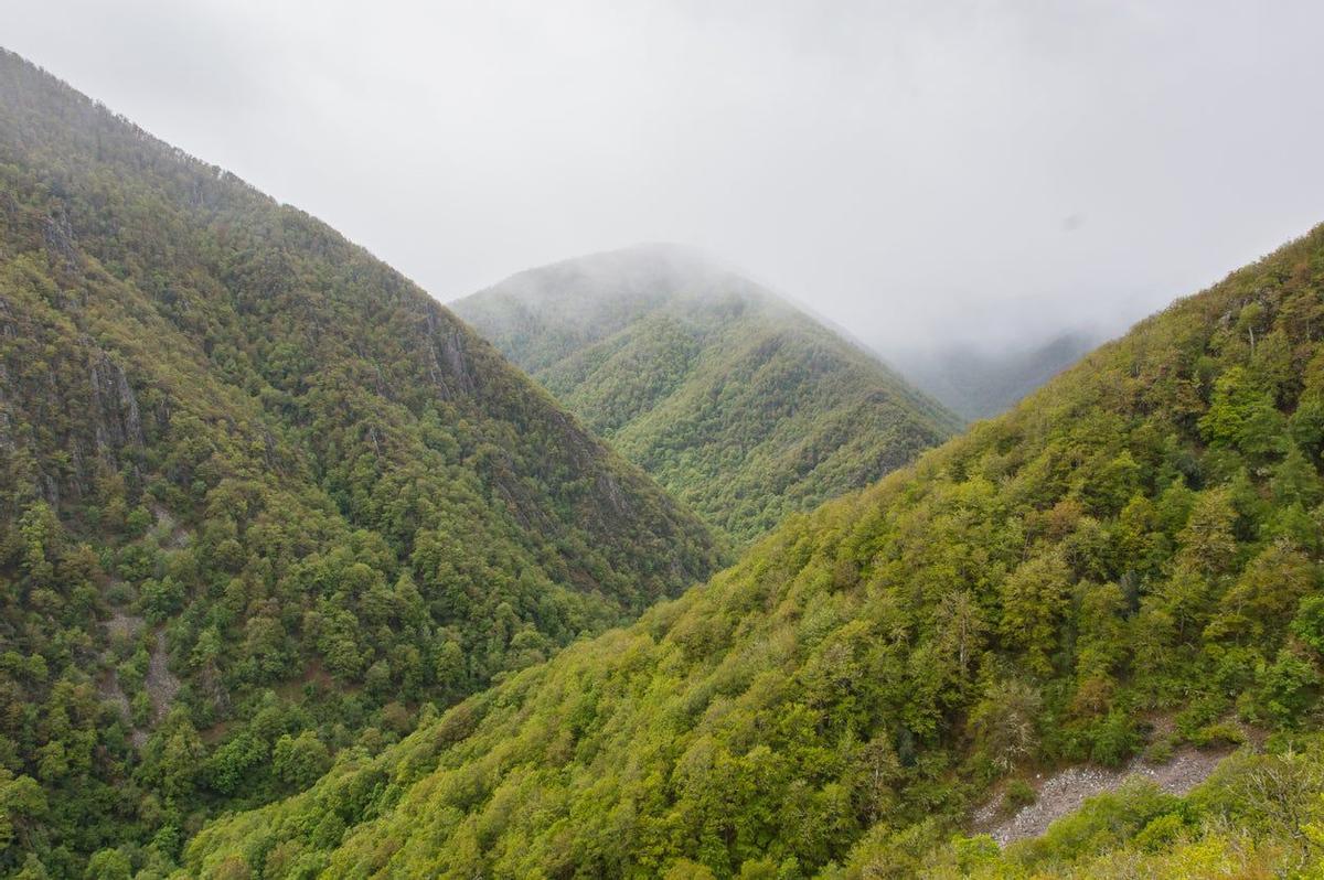 Muniellos, Asturias