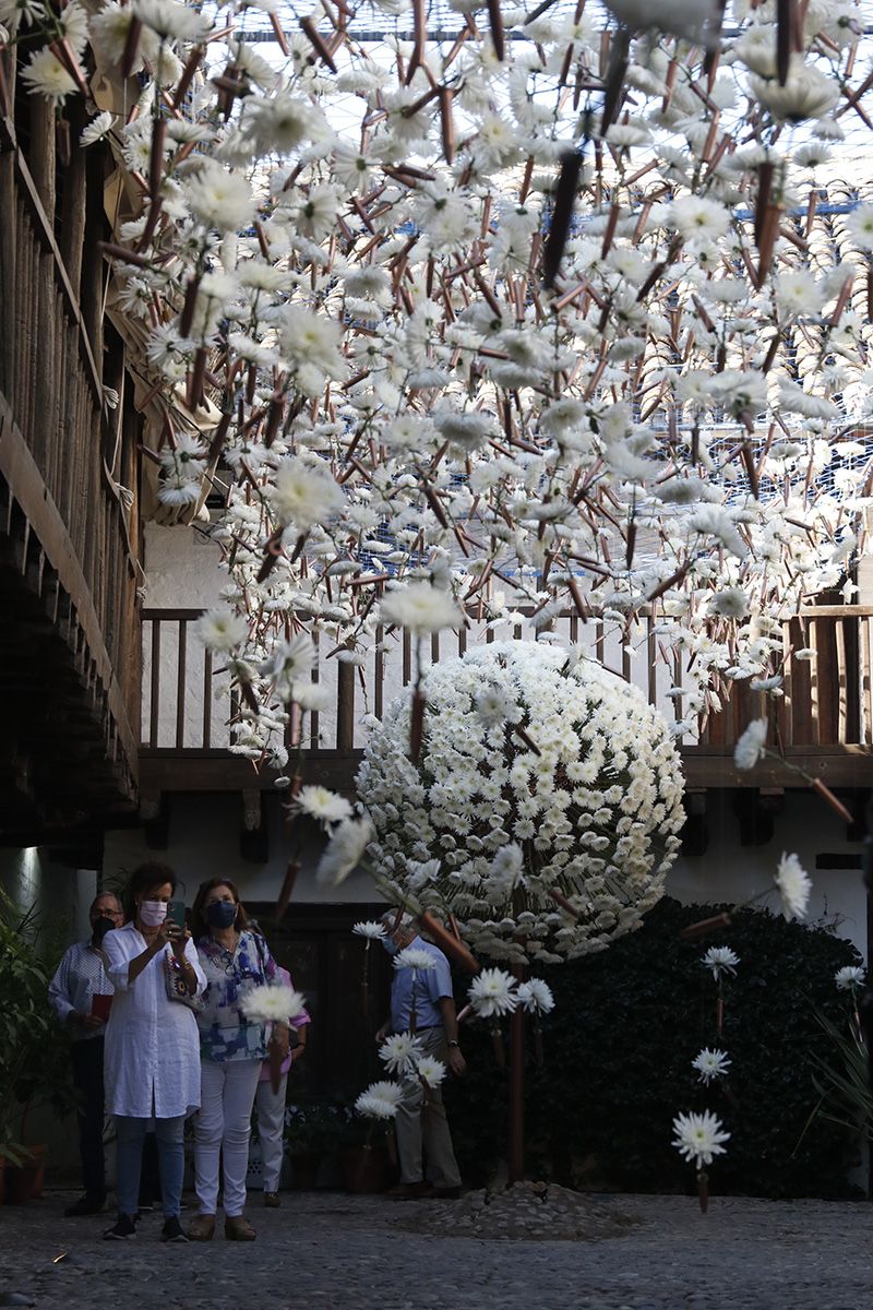 Instalación floral de la Posada del Potro