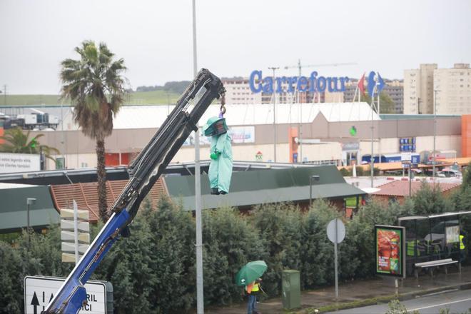 Fotogalería | Imágenes de la tractorada en Cáceres, este miércoles