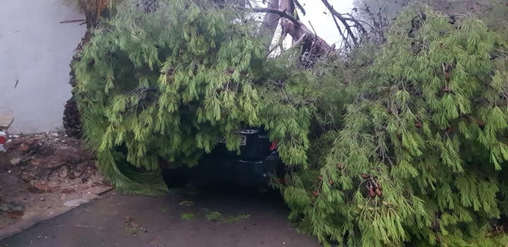 Temporal en Sant Antoni