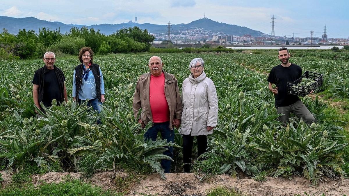 ‘Alcarràs’ en versió metropolitana: el difícil dia a dia d’una estirp de pagesos de Sant Boi