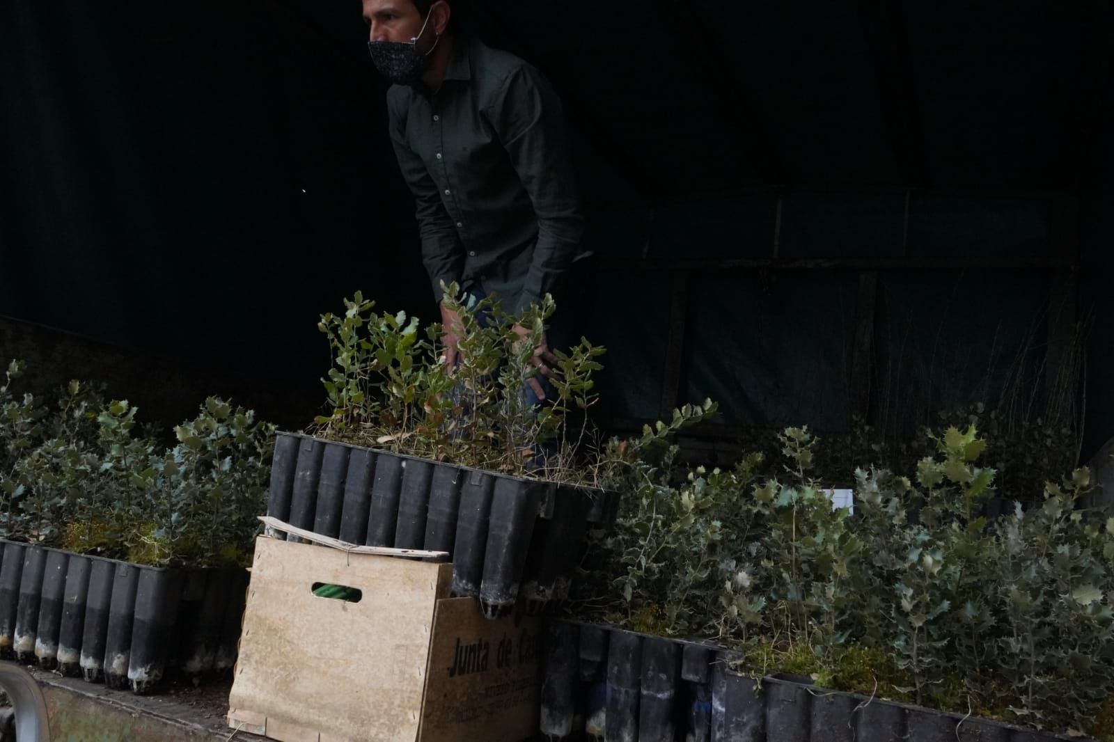 GALERÍA | Así celebra Zamora el Día del Árbol