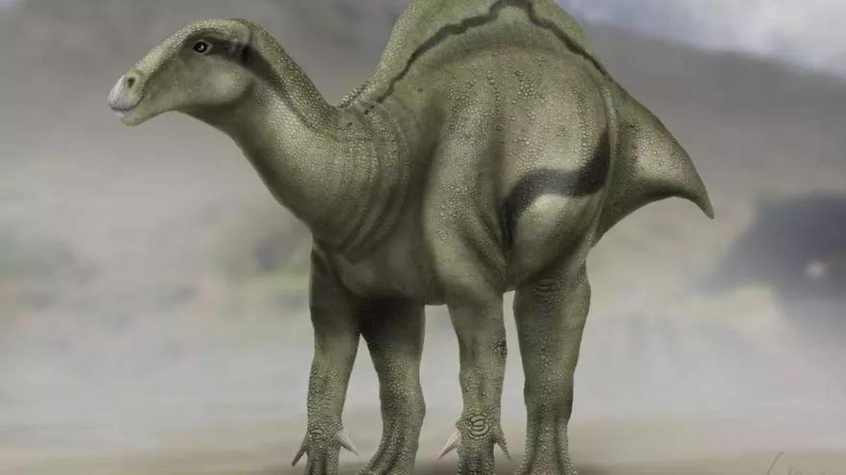 Imagen de un 'Iguanodon', especie muy emparentada a la de restos hallados en Morella.