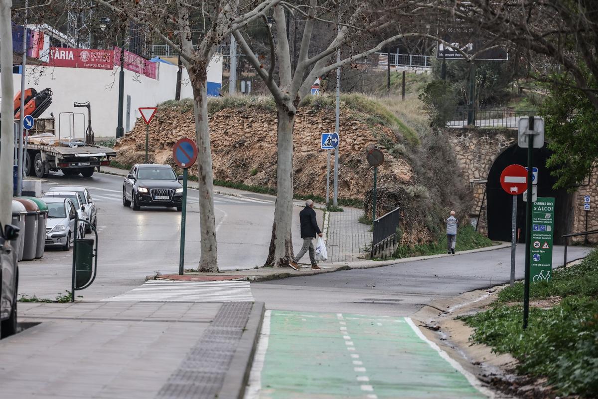 Varios árboles que por ahora no han sido talados por las obras