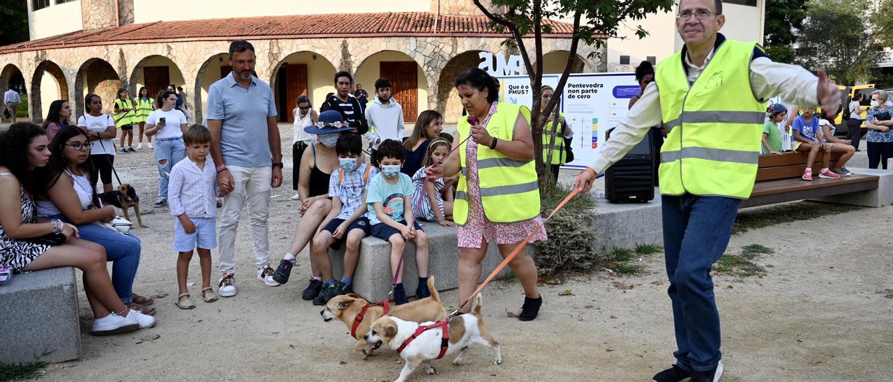 Dos de los diez perros de Os Palleiros que participaron en el desfile en Campolongo.