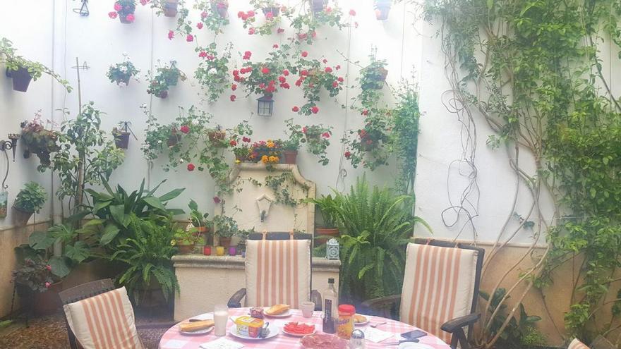 Casas en Córdoba, disfruta de sus patios a tu antojo