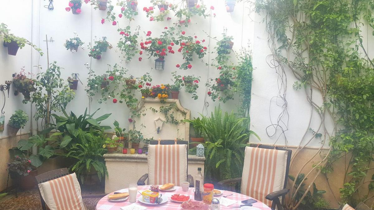 Casas en Córdoba, disfruta de sus patios a tu antojo