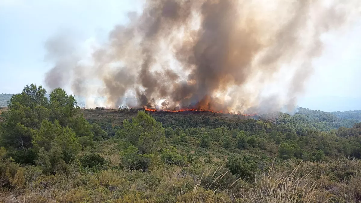 Un incendio forestal en el interior de Valencia obliga a movilizar diez medios aéreos