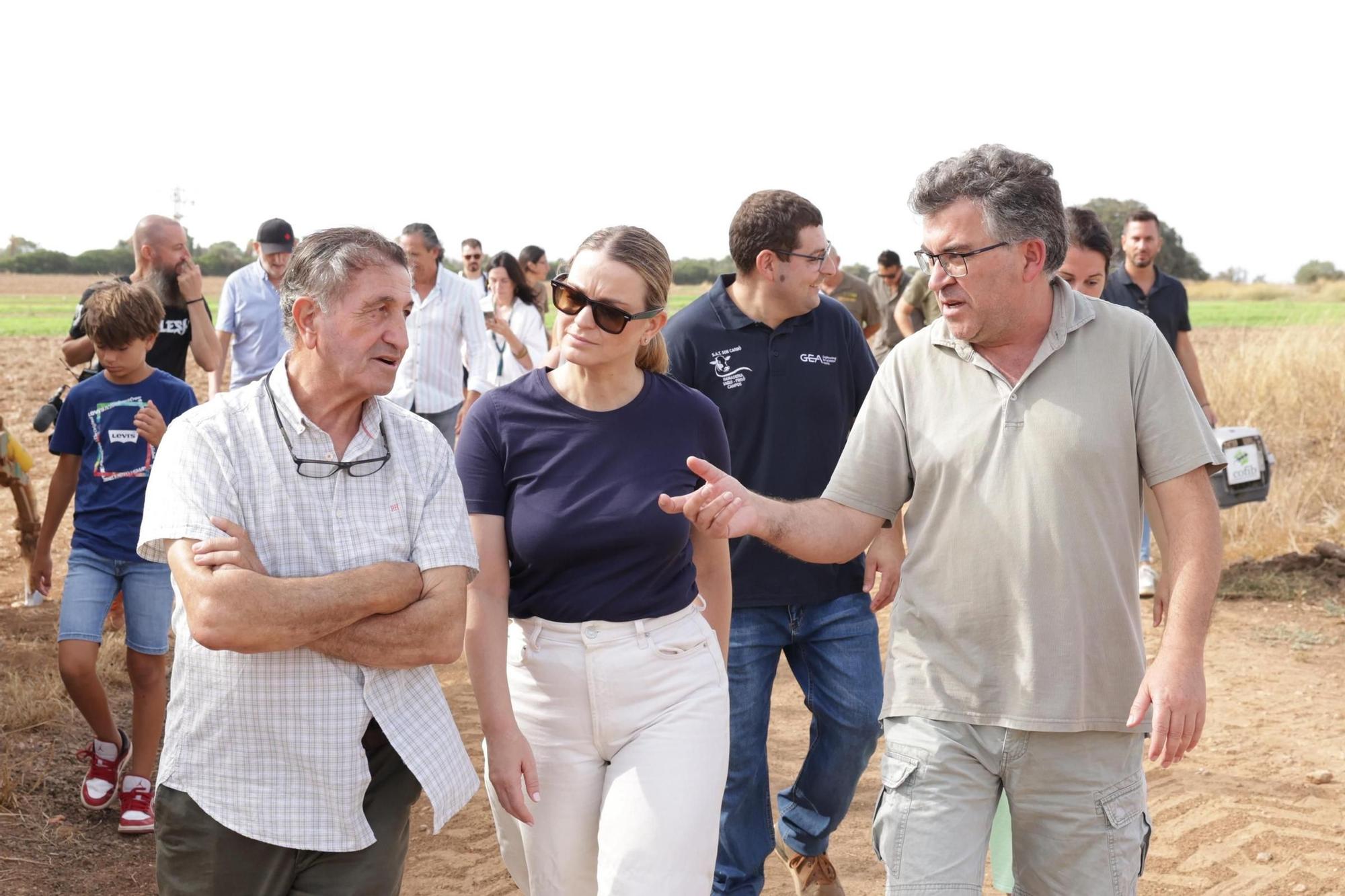 La liberación de tres milanos reales en Campos