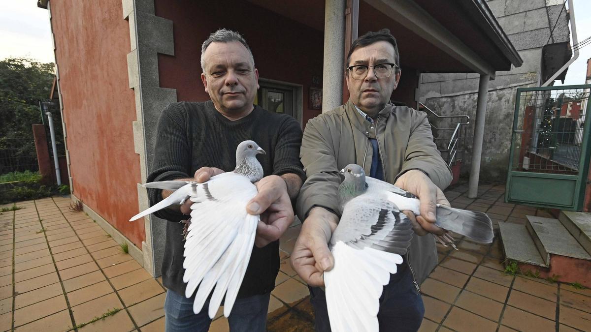 El presidente de la Sociedad Viguesa de Palomas Mensajeras, David Rodríguez, y el tesorero, Ramón Costas.