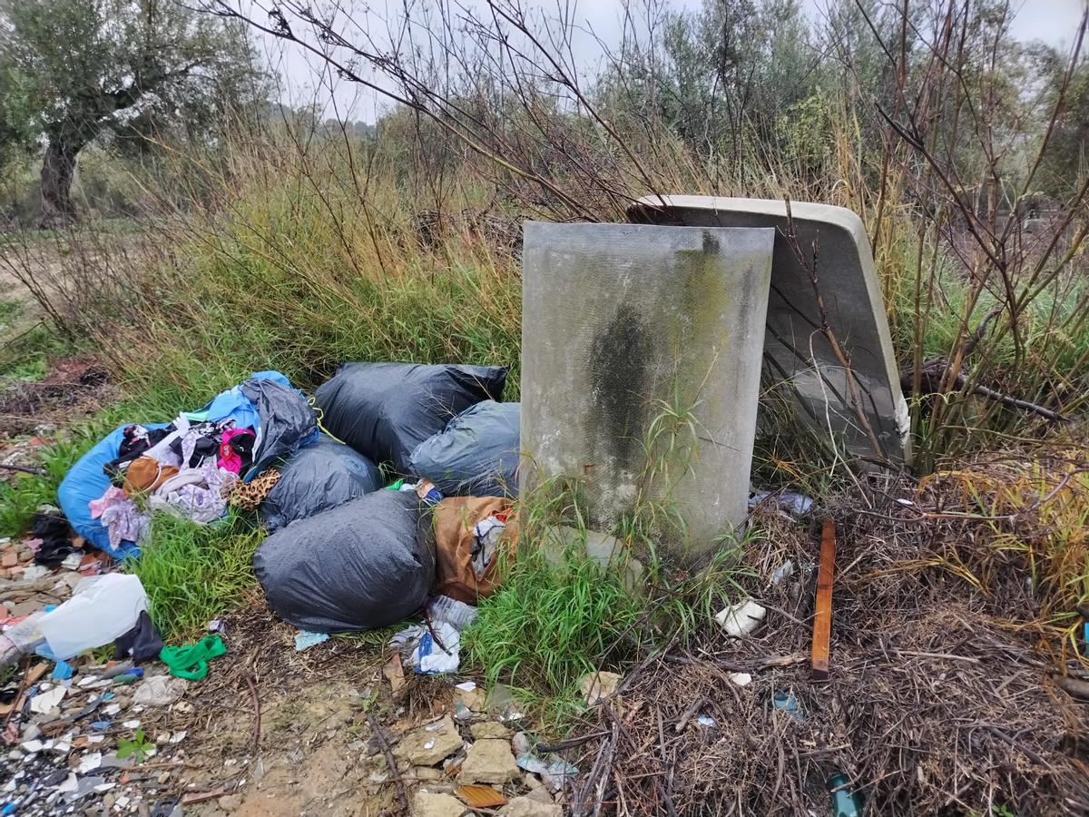 Durante estos primeros cuatro meses, el grueso de las intervenciones se ha concentrado en las localidades de San Vicente del Raspeig y Muro de Alcoy.