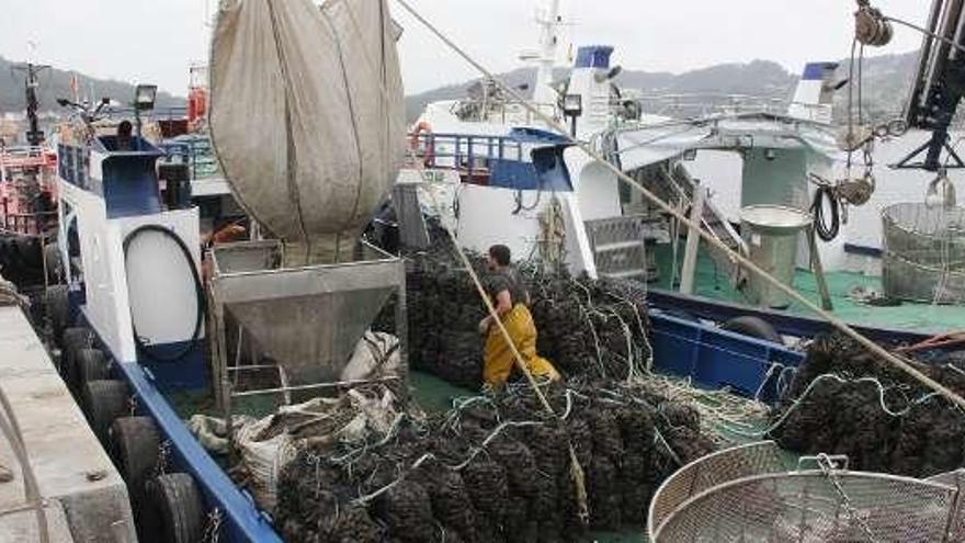 Trabajo de bateeiros, ayer, en la ría de Aldán. // S.A.