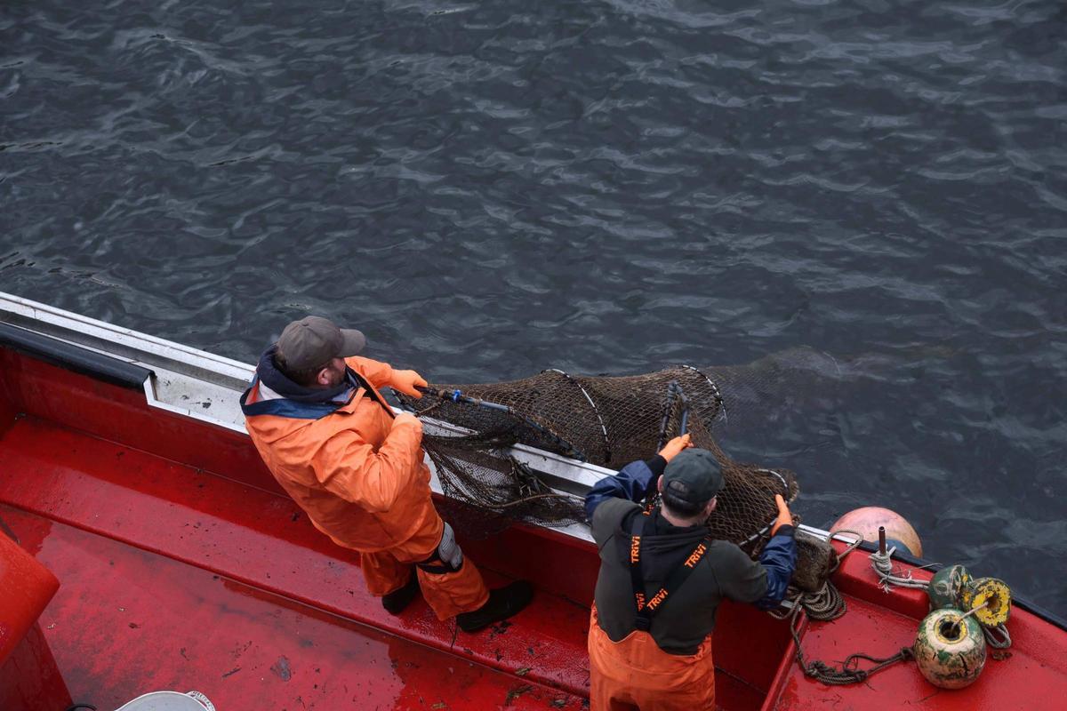 Así se pescan las primeras lampreas de la temporada.