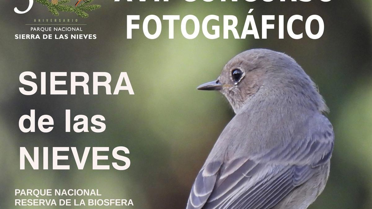 Cartel del 17 Concurso Fotográfico convocado por la Mancomunidad Sierra de las Nieves.