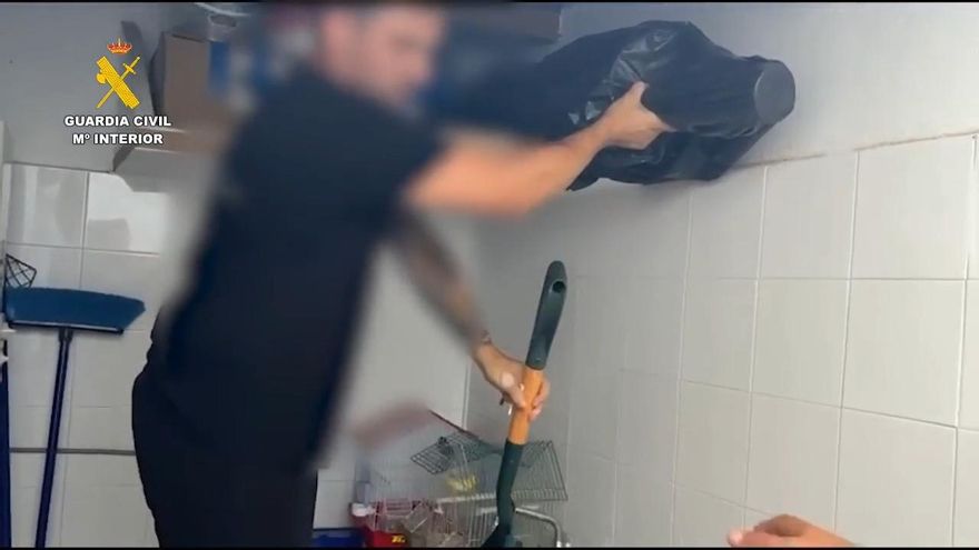 Cinco detenidos por planificar y encubrir el asesinato a tiros de un hombre en La Vila Joiosa