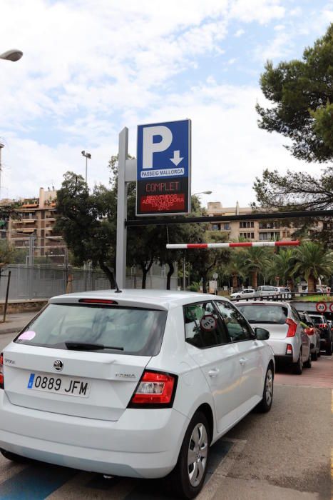 Operación nube: los turistas llenan Palma y atascos en los accesos