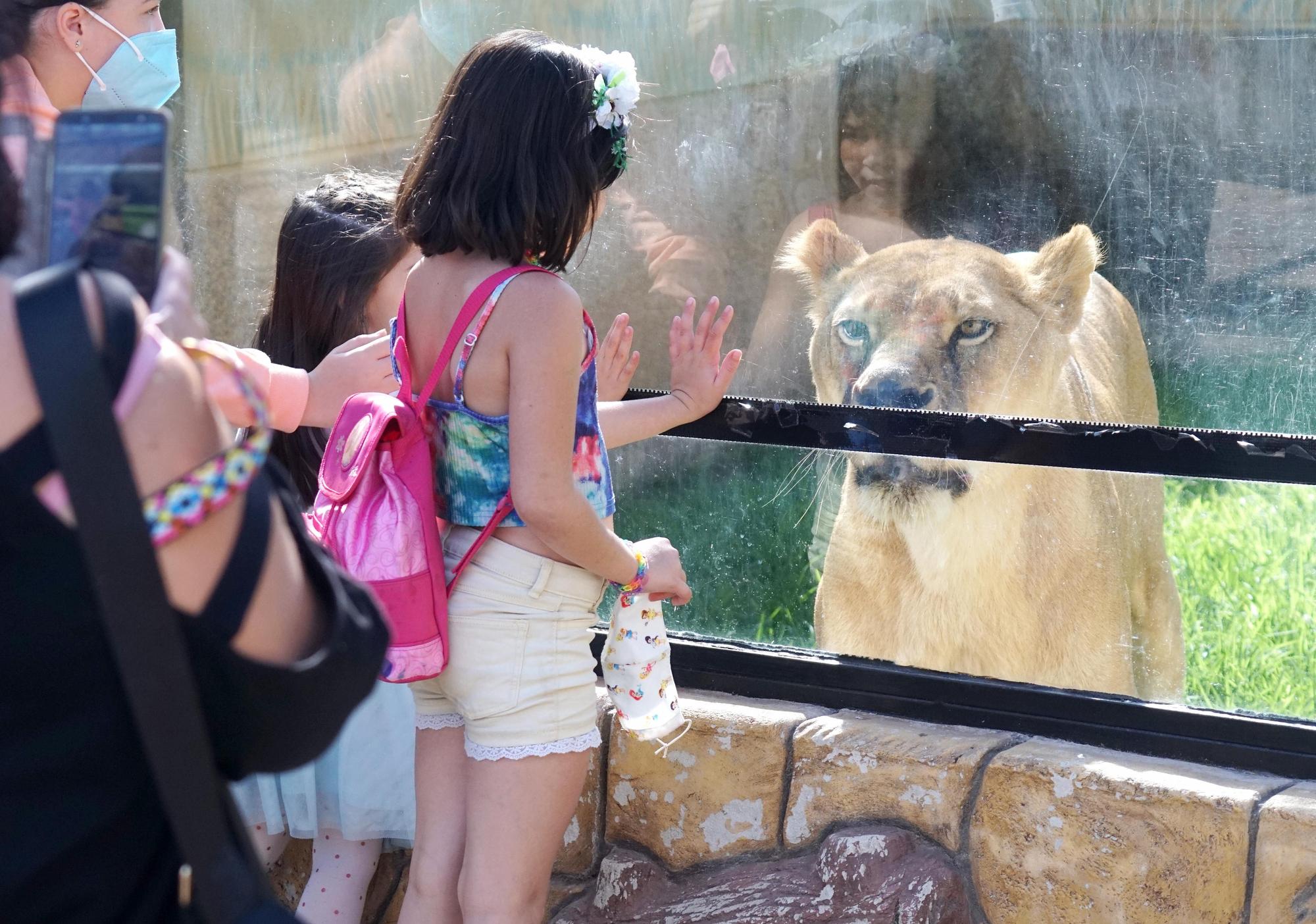 Día festivo en el Zoológico de Córdoba