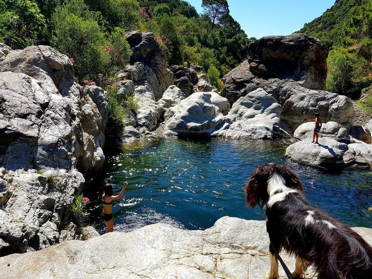 Poza de las Angosturas del río Guadalmina