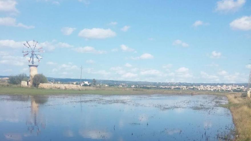 Imagen de una finca inundada en el Pla de Sant Jordi tras las lluvias torrenciales.