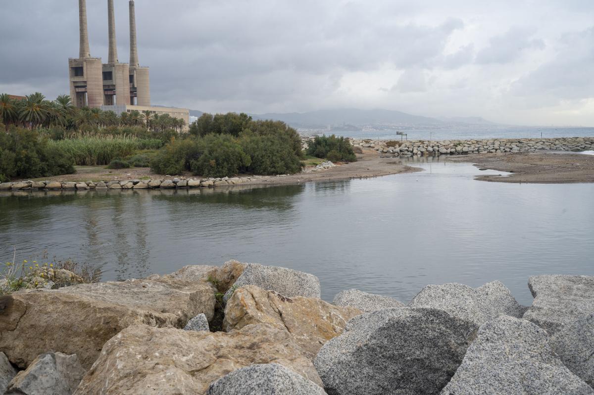 La regeneración de la desembocadura del río Besós es uno de los proyectos incluidos