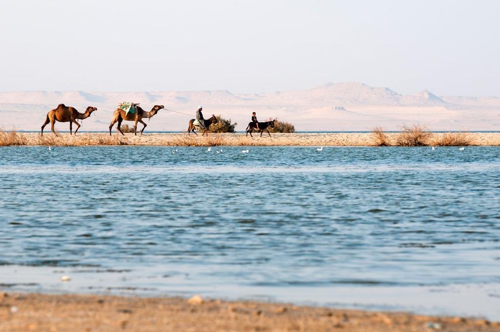 Oasis El Fayoum, Egipto