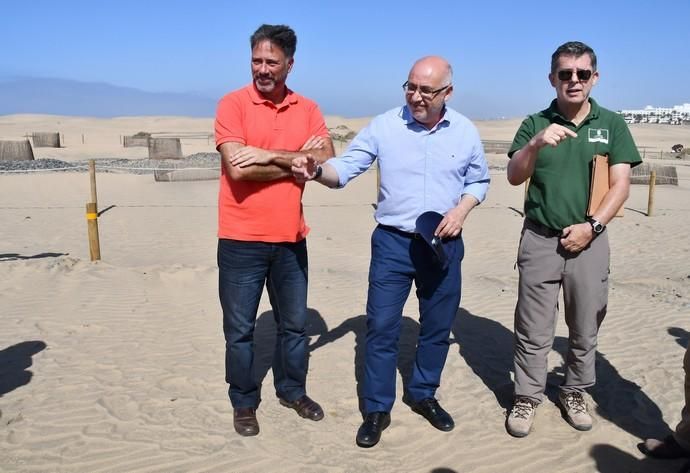 13/05/2019 MASPALOMAS. SAN BARTOLOME DE TIRAJANA. El presiddente del Cabildo de Gran Canria, Antonio Morales, y el consejero de Medio Ambiente y Emergencias, Miguel Ángel Rodríguez, informan del inicio de la segunda fase del proyecto para la recuperación de las dunas de Maspalomas, Masdunas, pionero en el mundo por sus carcterísticas .    Fotógrafa: YAIZA SOCORRO.  | 13/05/2019 | Fotógrafo: Yaiza Socorro