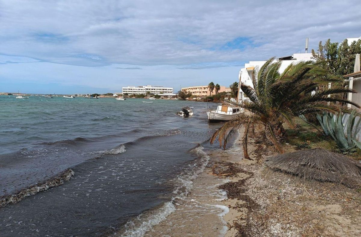 Un ‘llaüt’ y una lancha que se soltaron de los amarres ecológicos en s’Estany des Peix. | D. I.