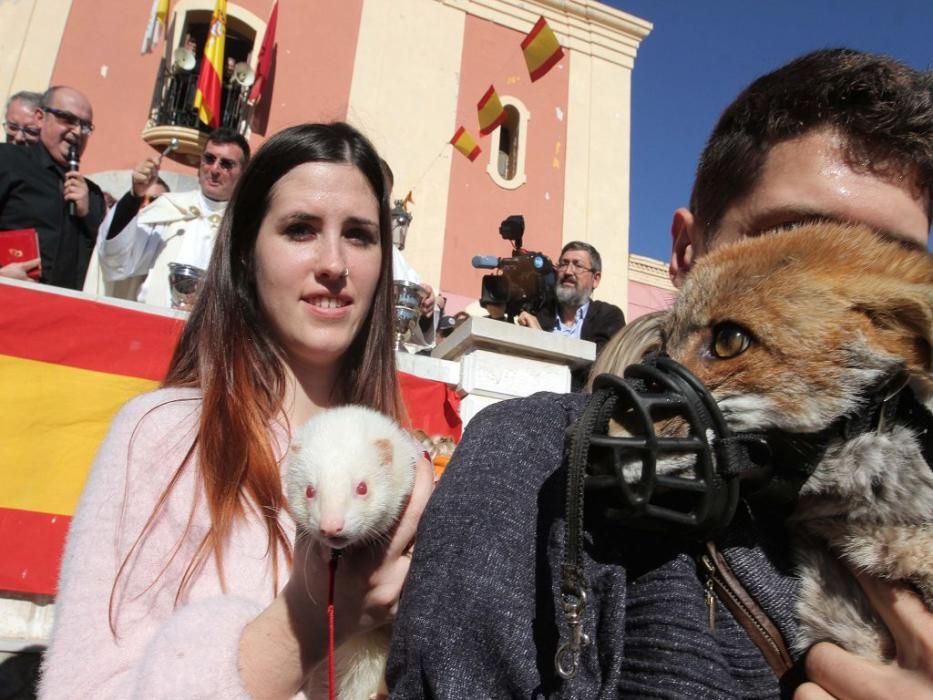 Los vecinos de Cartagena se han acercado junto a sus mascotas a recibir la bendición