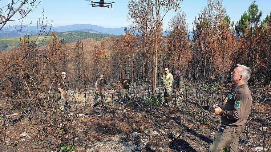 Rastreadores de incendios