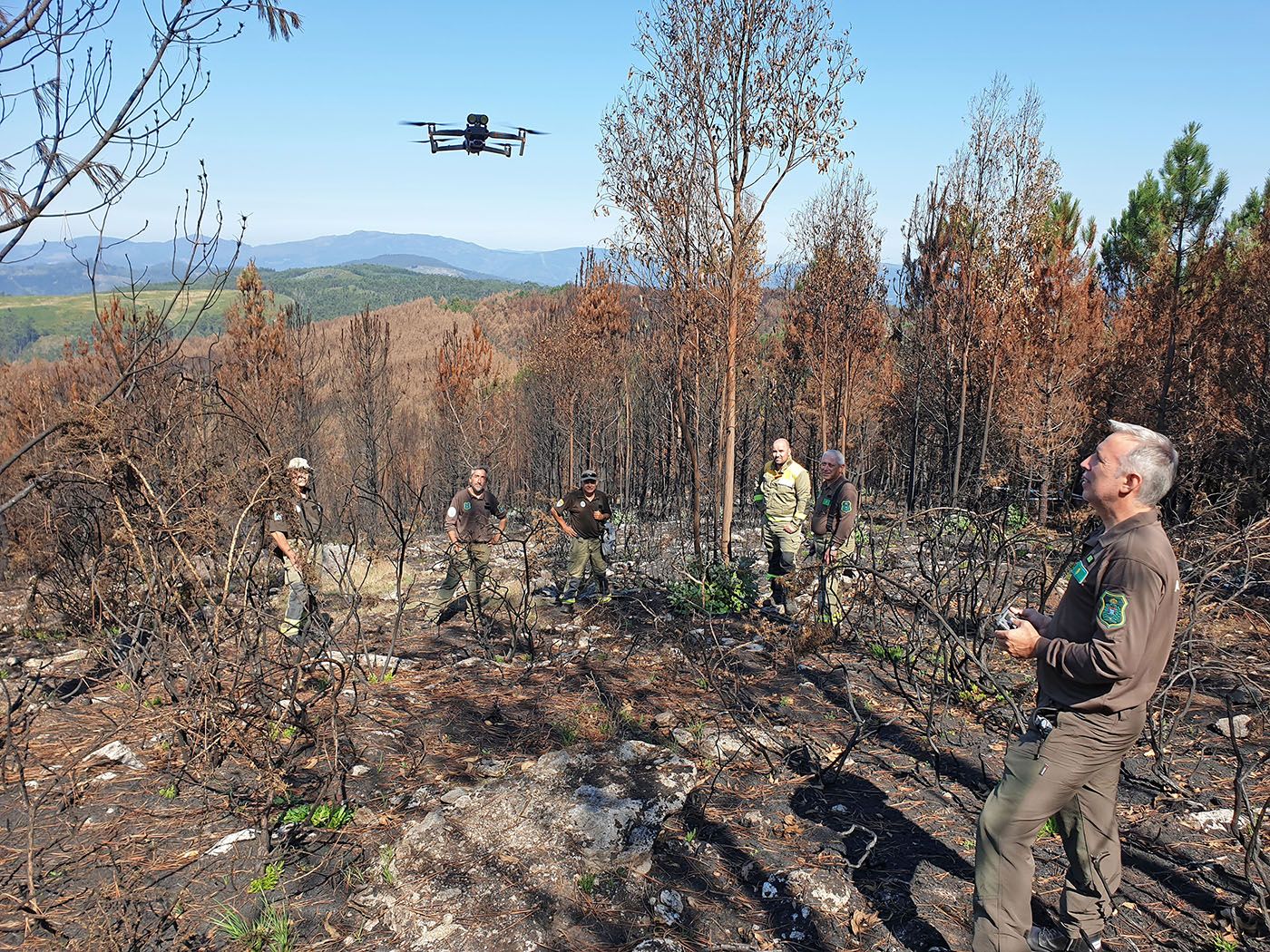 Rastreadores de incendios