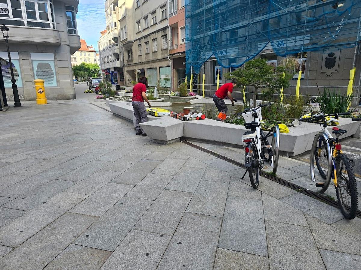 Los operarios municipales se encargan esta mañana de recuperar los deteriorados jardines de la peatonalizada calle de Arzobispo Lago, en Vilagarcía.