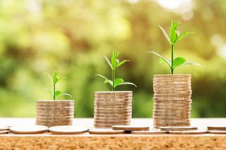Ahorro e inversión de pequeña escala: dónde meter o no pequeñas cantidades