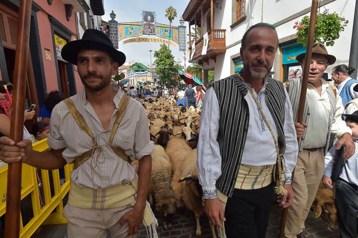 Carretas y grupos en la romería del Pino