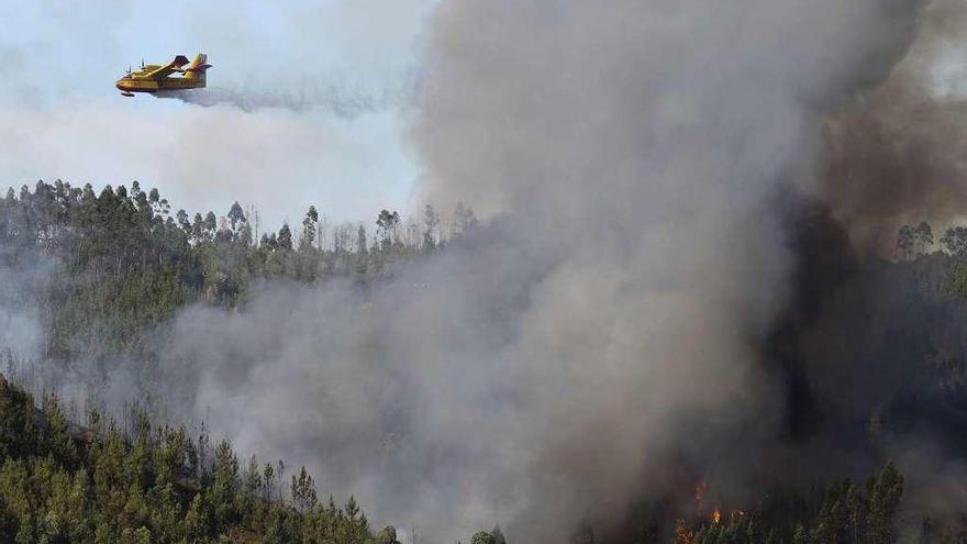 Un avión trabaja en la extinción del incendio de Abrantes. // Efe