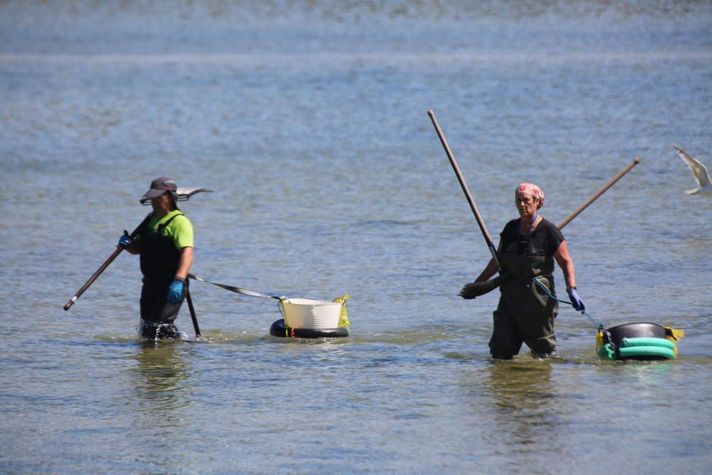 Marisqueo en Arousa