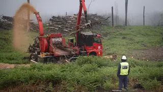 Agricultores de todo Tenerife reutilizan la madera del gran incendio de 2023
