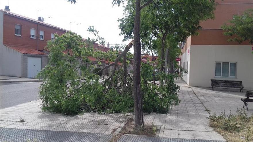 Un fuerte viento causa daños en varios distritos cacereños