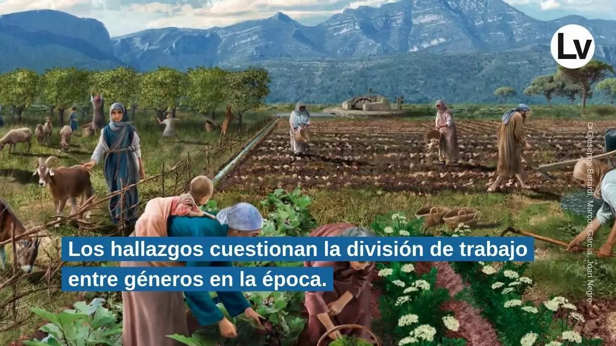 Los huesos de la alquería andalusí de Xaresa, en Xeresa, revelan que las mujeres también trabajaban en el campo y en la producción artesanal